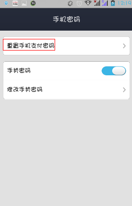 钱包密码忘了_im钱包忘记支付密码_im钱包忘记密码怎么办