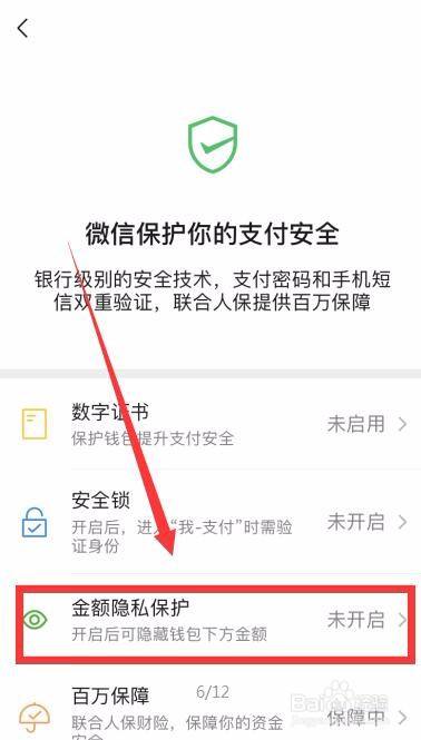钱包安全锁怎么解除_imtoken钱包安全吗_钱包安全吗