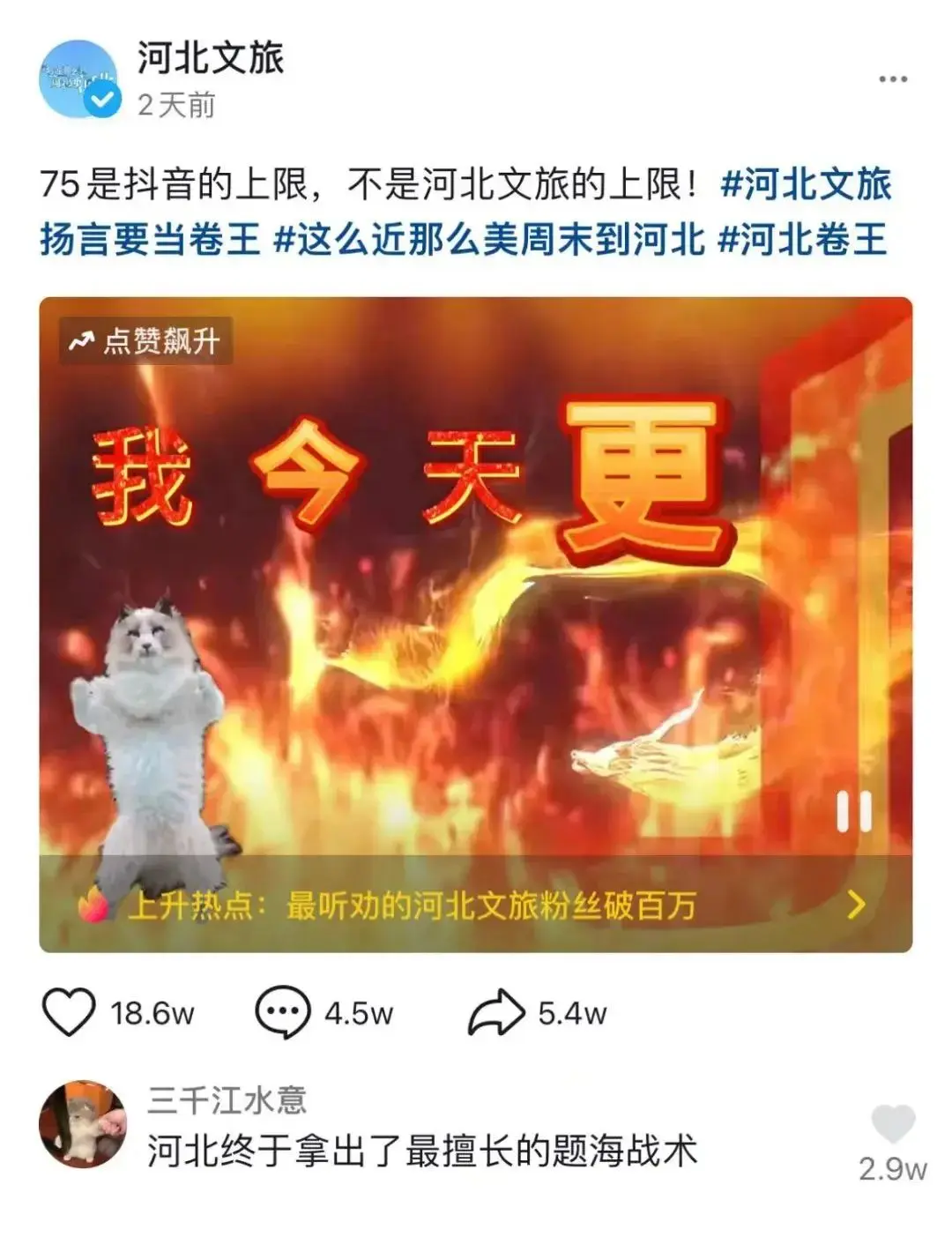 钱包密码忘了怎么找回_im钱包忘记密码怎么办_钱包的密码