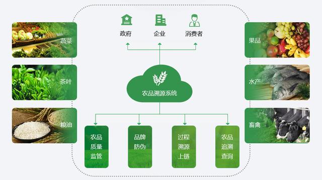 imtoken在中国合法吗_imtoken是哪个国家的平台_imtoken受监管吗