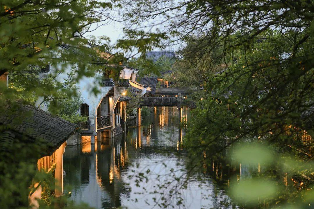 imtoken退出登录_退出登录后账号还在吗_退出登录别人还看得到我吗
