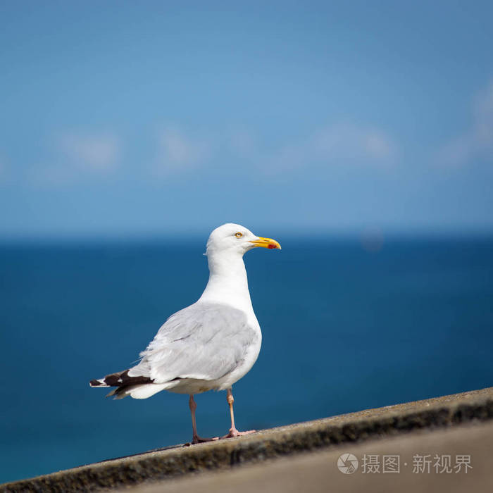 钱包授权取消手续费_im钱包取消授权_如何取消钱包授权