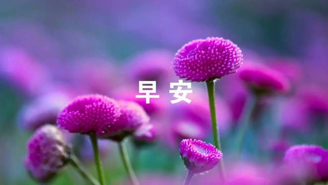 imtoken客服邮箱_邮箱客服电话_邮箱客服电话人工服务
