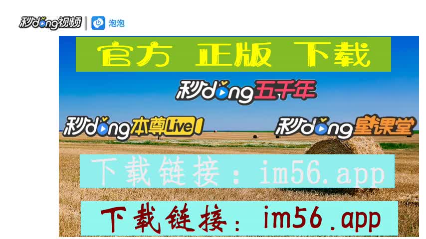 im钱包安全自测_钱包安全性_钱包功能测试流程