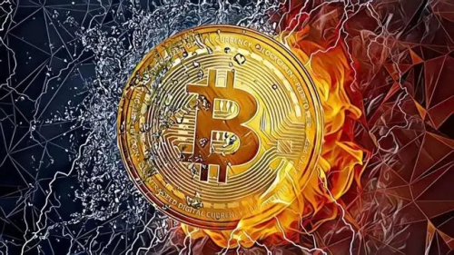 钱包tp官方在哪可以下载_im钱包和tp钱包_钱包tp下载