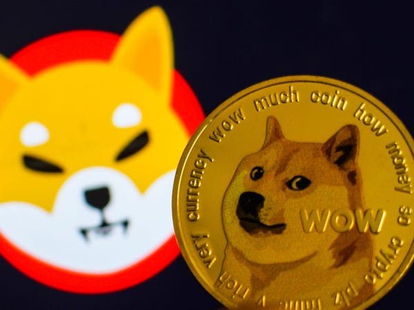 im钱包怎么创建doge_钱包创建教程_钱包创建密码无法下一步