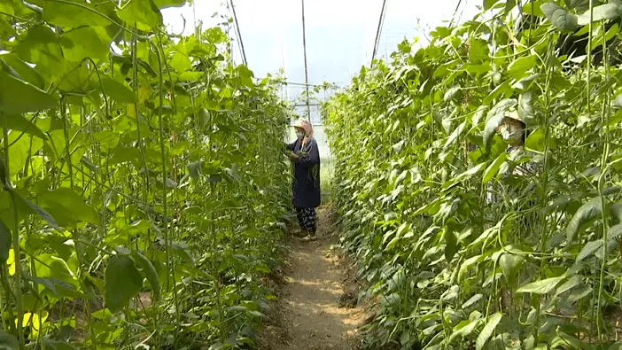 转账成功显示什么_转账成功界面_im钱包转账成功页面