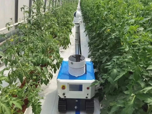 imtoken苹果手机能用吗_苹果imtoken钱包_苹果手机安装imtoken