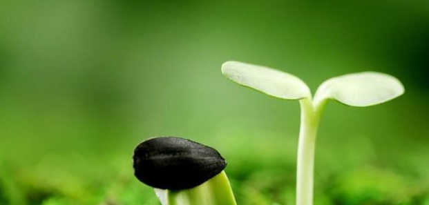 imtoken苹果手机能用吗_苹果手机安装imtoken_苹果imtoken钱包