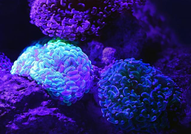 im钱包转账失败了口矿工费_tp钱包转出矿工费不足_btc转账矿工费给少了
