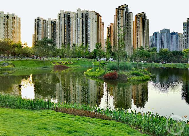 imtoken钱包怎么找回_找回钱包支付密码_找回钱包感谢的话语