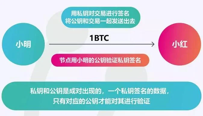 imtoken钱包比特币_im比特币钱包_钱包比特币截图