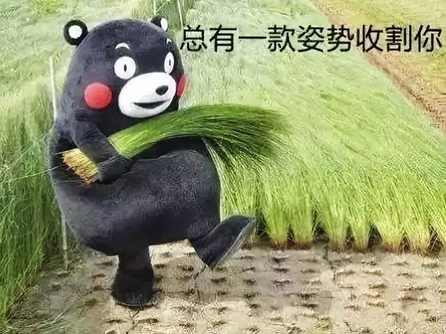 钱包版本4.9.5.0_钱包版本过低_im钱包3.0版本