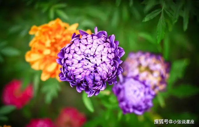转钱的手续费是怎么扣的_转钱收手续费吗_im钱包转账手续费多少
