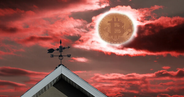 比特币钱包可以放其它币吗_比特币钱包只能放比特币吗_imtoken钱包能放比特币吗