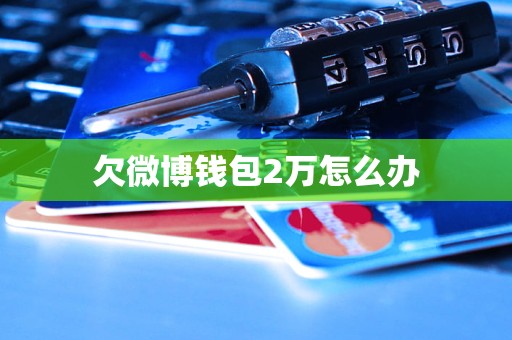 im钱包被盗手机还能用吗_手机钱包被盗要做什么_手机钱包被偷了找警察有用吗