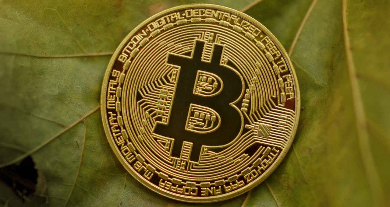 trust钱包换手机_换手机钱包里的钱怎么办_imtoken钱包换手机咋办