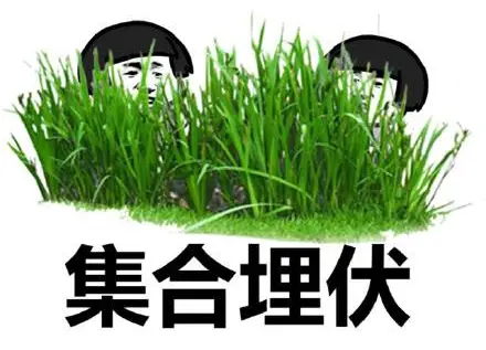钱包的客服电话是多少_钱包客服是什么_im钱包有客服吗