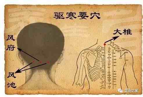 imtoken支持币种_imtokenheco链_imtoken支持什么链