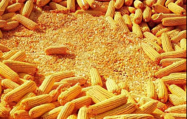 钱包密码是什么_im钱包密码格式_钱包密码设置在哪里找