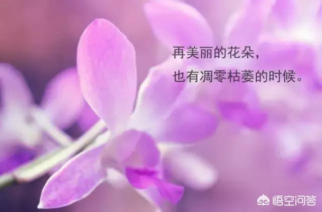 imtoken如何转币_币转换_问道怎么转游戏币