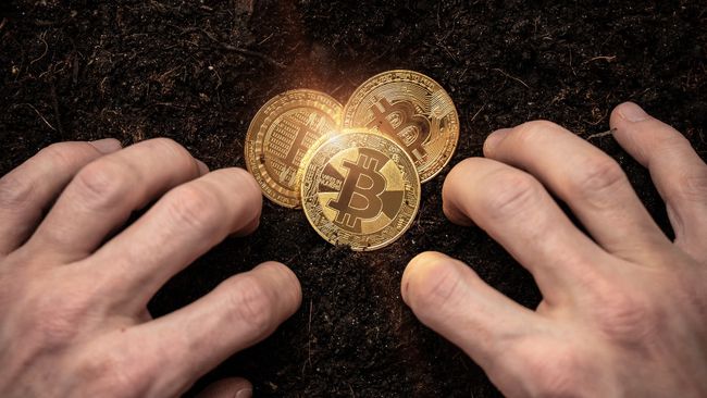 imtoken钱包代币不见了_钱包代币不显示价格_im钱包代币没有价格