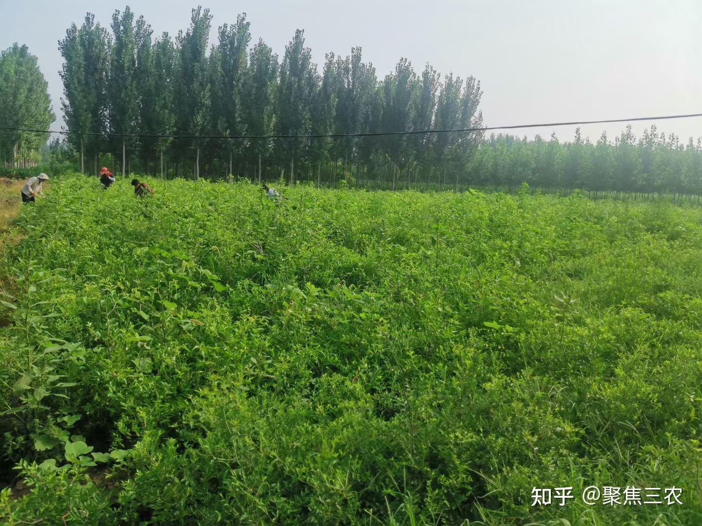 预期价格是什么意思_im钱包lon预期价格_预期价格怎么算