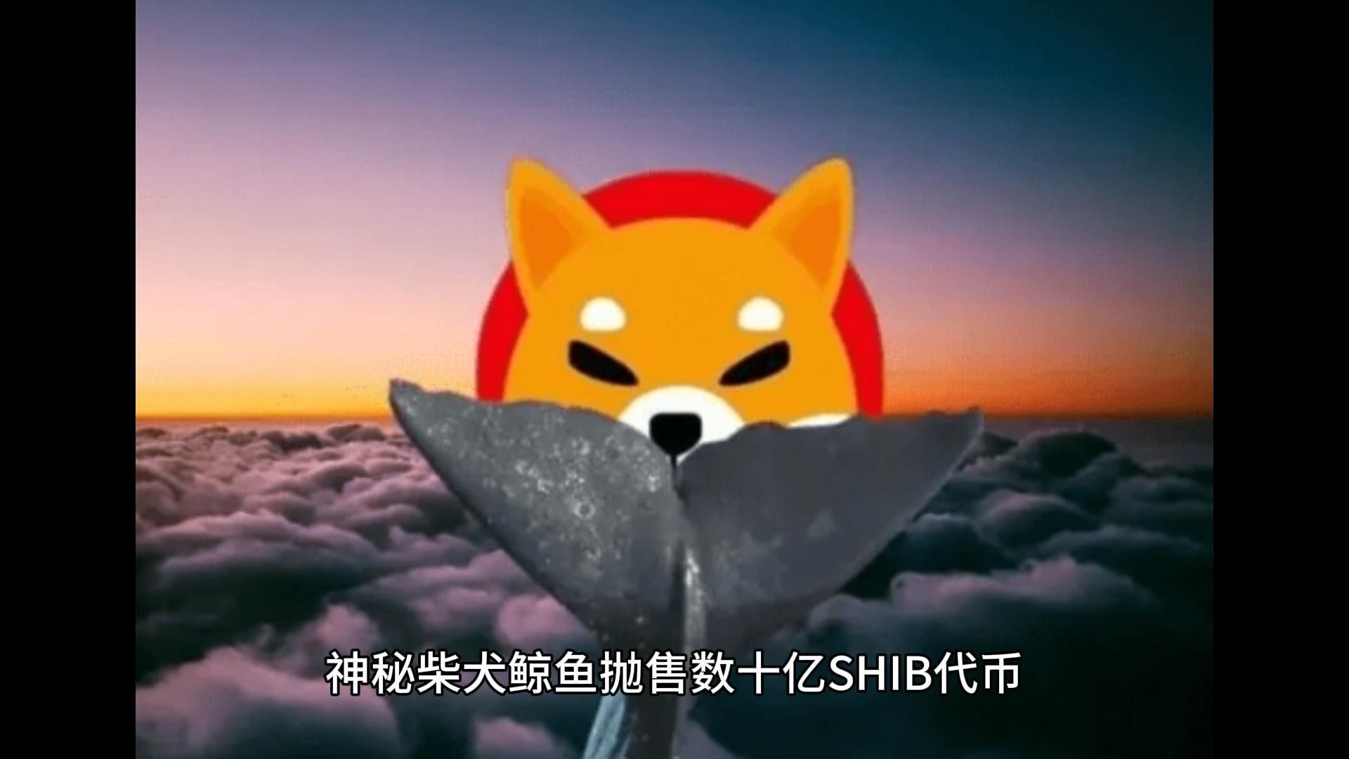 im钱包收到几十亿代币-惊！im 钱包突然多出几十亿代币，是幸运降临还是另有隐情？