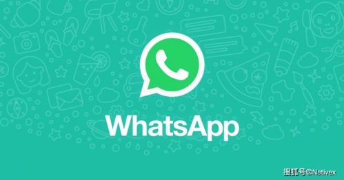 whatsapp不愿意收到太多信息,WhatsApp如何帮你掌控消息流