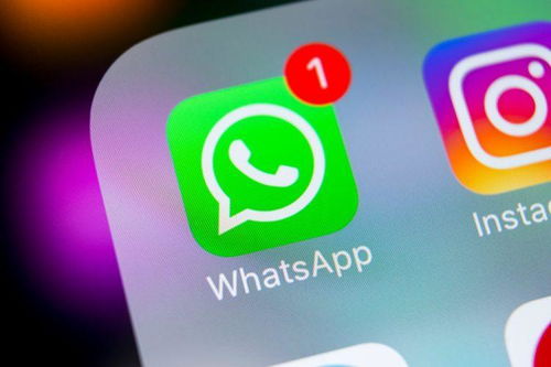 whatsapp不显示对号,原因及解决方案