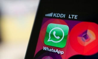 whatsapp被收购多少钱,WhatsApp的辉煌收购历程回顾