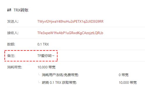 tokenpocket怎么跨链转账,轻松实现多链资产流通