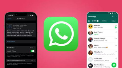 whatsapp 符号,符号背后的秘密与社交新篇章