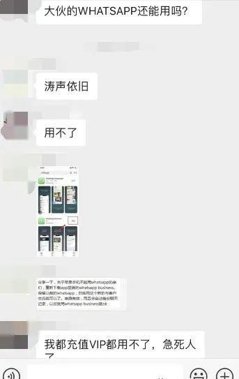 已被whatsapp暂停使用,揭秘背后原因及影响分析