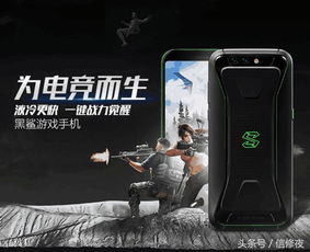 波比游戏时间第三章正版游戏 