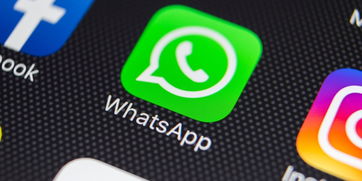 whatsapp 状态 已读,洞察沟通背后的秘密