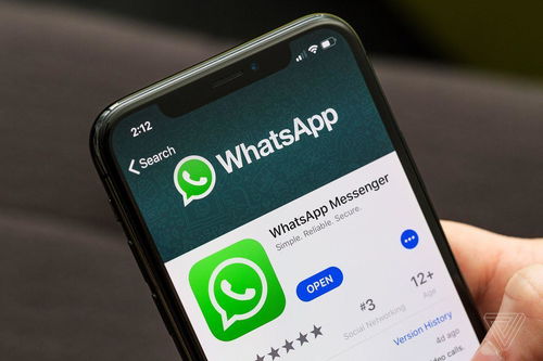 whatsapp发信息只打一个勾,轻松掌握WhatsApp群发消息技巧