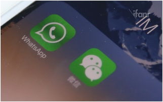whatsapp 与微信的关系,全球通讯巨头间的异同解析