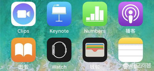 苹果手表装whatsapp,WristChat应用让WhatsApp触手可及