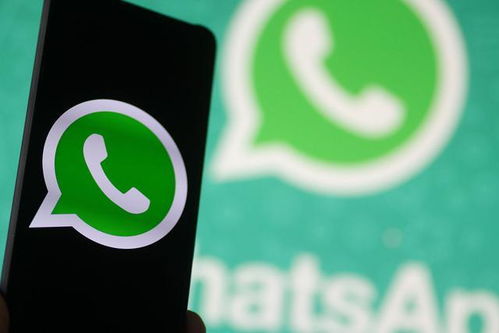 WhatsApp对方没有我手机号,WhatsApp如何实现匿名交流？