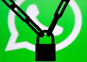 whatsapp的封锁是什么意思,揭秘社交巨头背后的网络风云