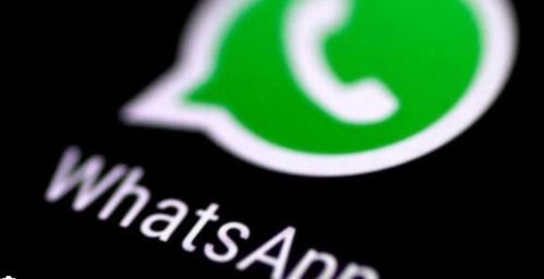 你可以给我whatsapp的账号,畅享即时通讯新体验