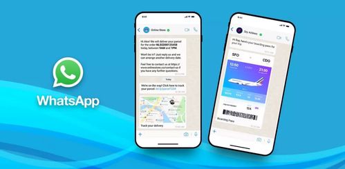 whatsapp 支付功能,全球通讯应用中的便捷金融新体验