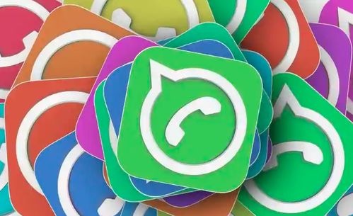 whatsapp盗号后怎么找回,WhatsApp账号被盗后如何迅速恢复与预防攻略