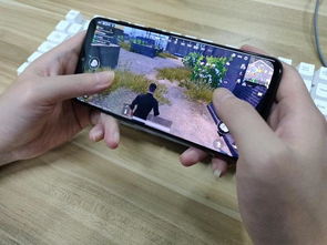 最美标准证件照手机应用最新下载地址 