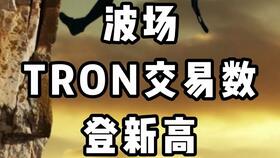 tokenpocket的tron,一站式Tron生态应用体验指南