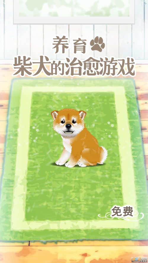 治愈使和受诅咒的地下城安卓直装版 