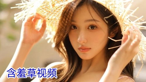 石榴视频网站app下载 