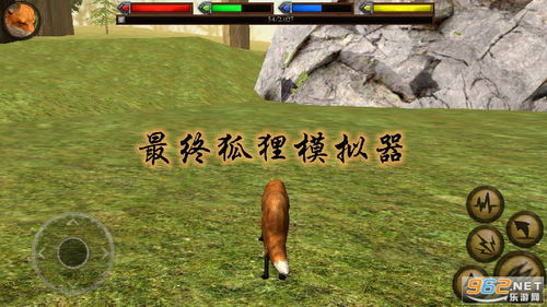 狐狸视频 