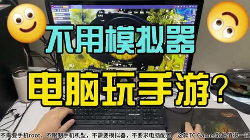 小桃的纠结安卓游戏 